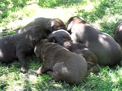 2009 07 21 - stenata 18. den