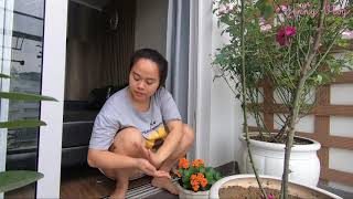 Download lagu single mom daily life#05 mp3