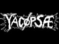 Yacopsae - Frost 