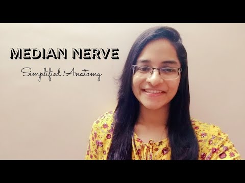 MEDIAN NERVE | ANATOMY | SIMPLIFIED