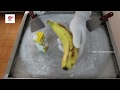 Tropicana Pineapple Flavor Ice Cream Rolls Tasty Ice Cream Rolls