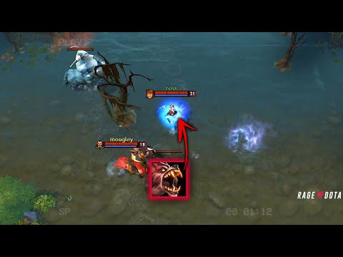 This combo would have won THE INTERNATIONAL to PSG.LGD