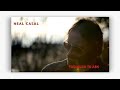 Neal Casal - Too Much to Ask (Lyrics)