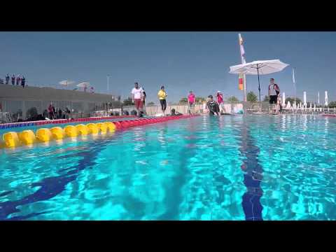 Voloshin Belgrad 2015