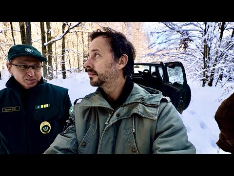 Kimentünk a MAGYAR erdőbe, ahol FARKASOK élnek!!!