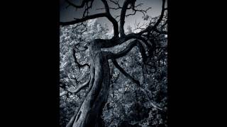 KALMAH - Moon Of My Nights