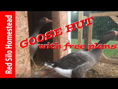 , title : 'Goose Hut with free plans to build your own!'