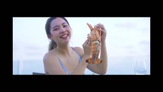 คลิป สมุย พงัน เต่า แดนฝันหมู่เกาะทะเลใต้ฝ คลิป สมุย พงัน เต่า แดนฝันหมู่เกาะทะเลใต้ฝ