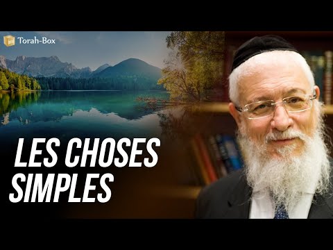 COURS DU LUNDI : "LES CHOSES SIMPLES" (GRAND-RABBIN JOSEPH-'HAÏM SITRUK)