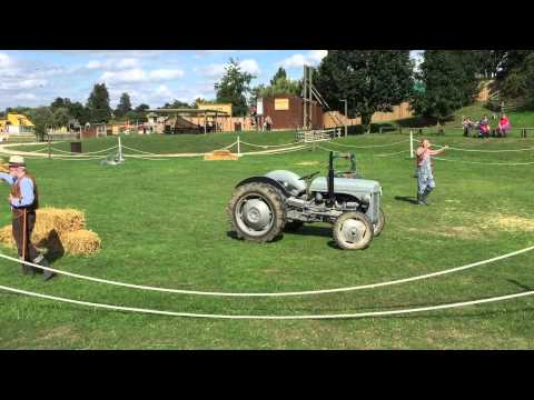 Fergie the Tractor at Willows Activity Farm, St Albans