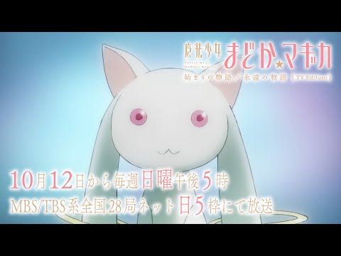 魔法少女まどか☆マギカ 始まりの物語／永遠の物語 TV Edition Video1
