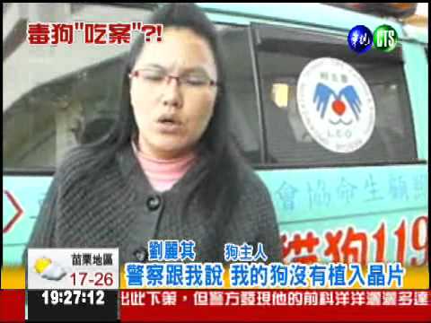 狠心人下毒手 11狗橫死草叢