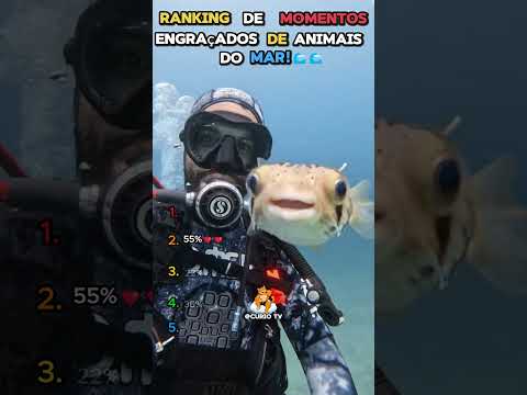 o peixinho fofo deu oi pra camera!