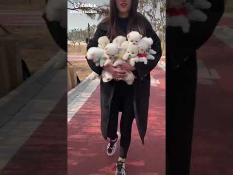 ١٧ سبتمبر، ٢٠١٩