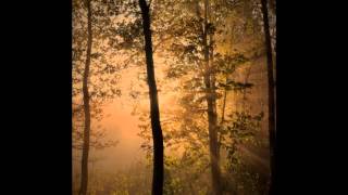 Empyrium - Wassergeister Waldpoesie