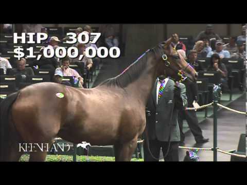 2014 September Yearling Sale - Hip 307 (Tapit - Super Espresso)
