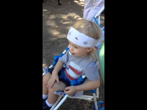 Dulcimer jam - 2014 New Harmony Kunstfest