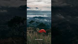 Download lagu story wa || SAMPAI JADI DEBU || NEIRA || #shorts #shortvideo #sampaijadidebu mp3