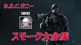 【レインボーシックスシージ】スモーク大全集