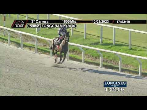 230210 c03 - BELLA FOX - HIPODROMO DE MARONAS