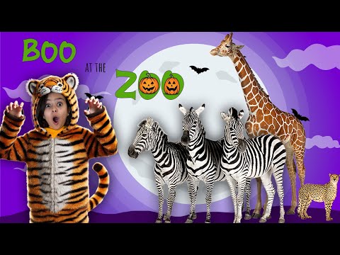 Boo At the Zoo | Learn Animal Names & Sounds with Atrin & Soren | Educational Animal Video for Kids