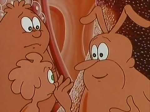 Es war einmal … das Leben Staffel 1 Folge 5 - Screen 05 HD Deutsch