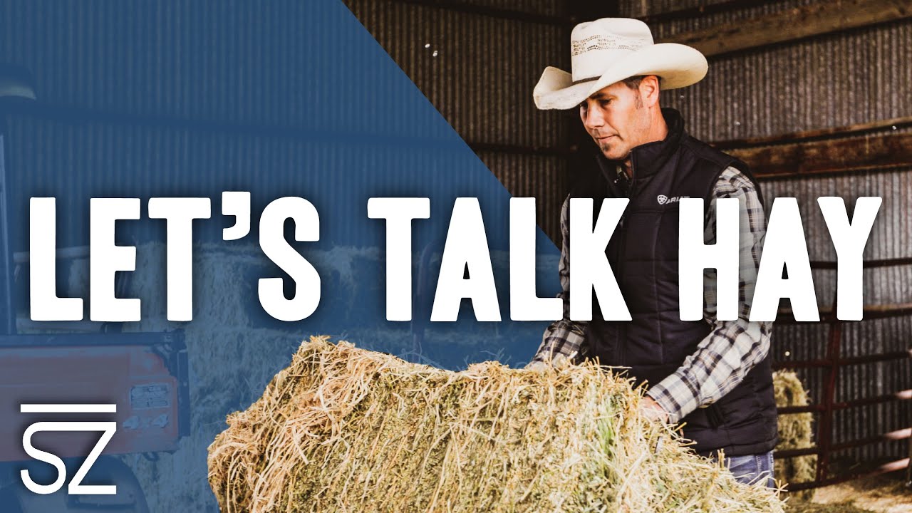 Is hay for horses an idiom? Tipseri