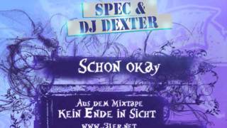 Spec - Schon okay (Kein Ende in Sicht - Mixtape)