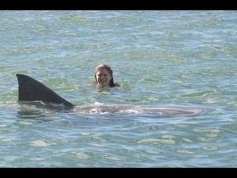 Shark Attacks German Tourist in Hawaii - Bites off Arm!