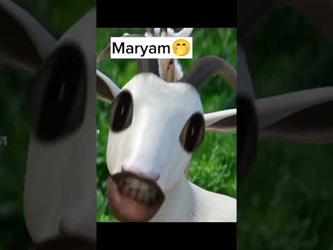 Bongi Maryam🤭 #reels #funny #ytshorts