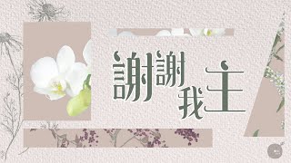 謝謝我主