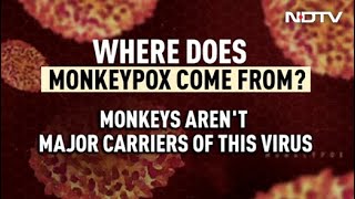 Monkeypox Spreading In Europe, US: All You Need To Know