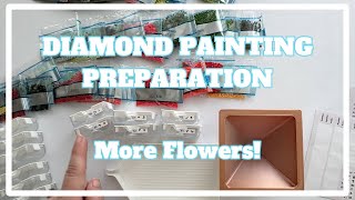 I Don't Normally Do This . . . | Diamond Painting Preparation