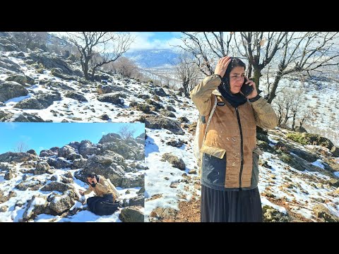 Emergency call from the hospital; is the operator alive?