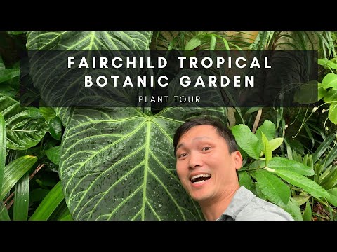 Plant Tour of Fairchild Tropical Botanic Garden in Miami Florida | Ep 24
