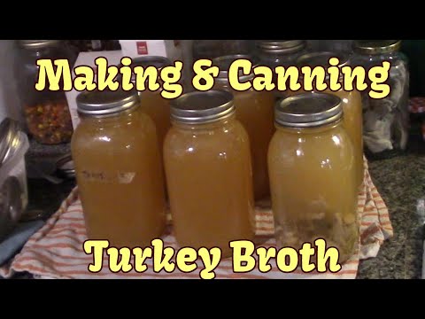 YouTube video about: Can I switch my dogs food cold turkey?