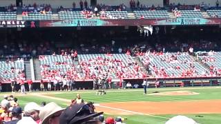 Big Bang Theory in Angel Stadium!