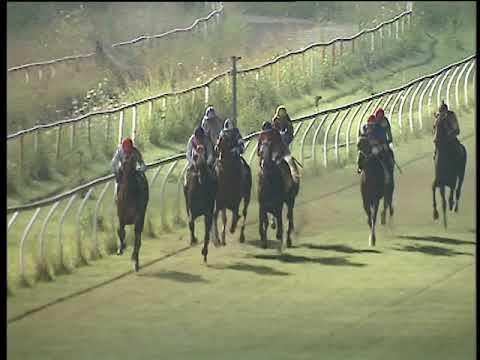 Galoppo 14/07/2018 - 7ª corsa - TRIS