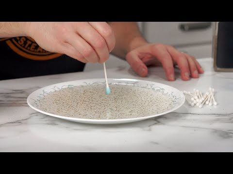 Pepper and Water Science Trick! Surface Tension Mini Segment (Ep 103) #DIYST1
