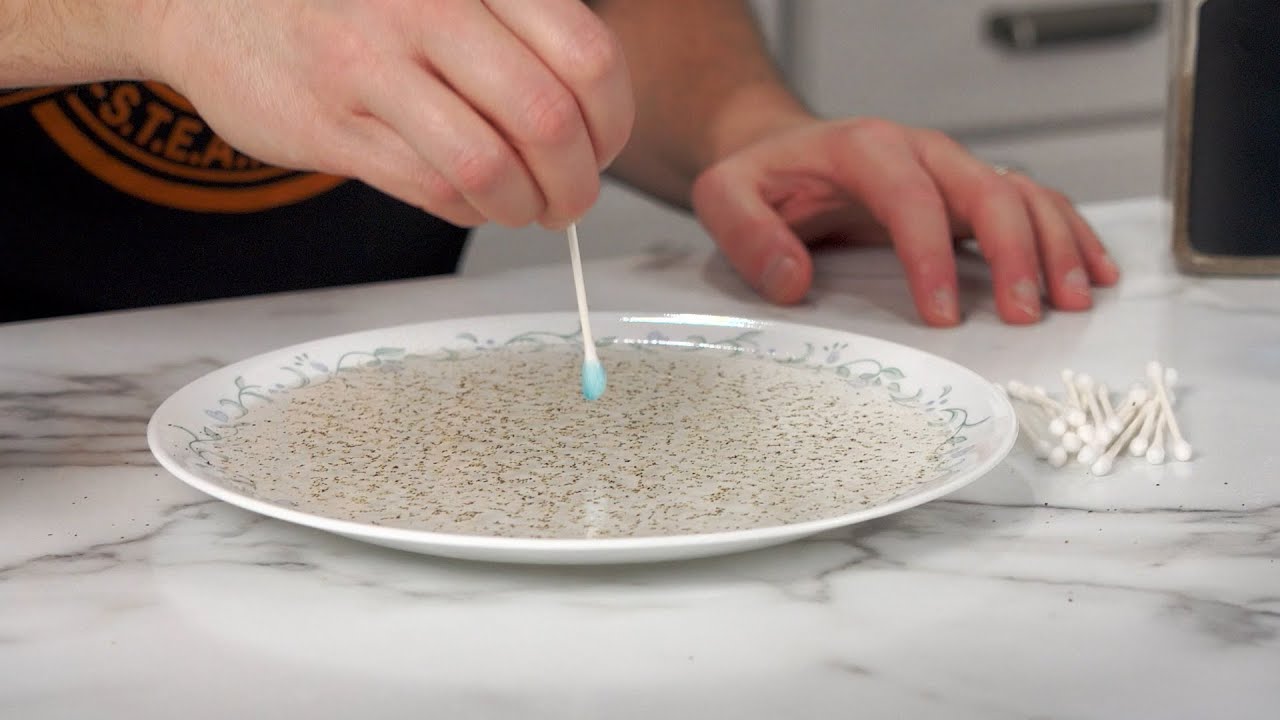 Pepper and Water Science Trick! Surface Tension Mini Segment (Ep 103) #DIYST1