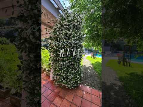 Video de YouTube - Mansa, Alquiler Temporada, 4 dormitorios, piscina climatizada. Disponible.