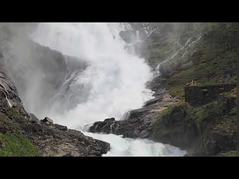 #Nature Relaxing music video || Nature Flower with fish || AVESH INTERTAINMENT ||