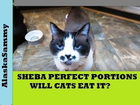 Sheba Perfect Portions Cat Food Review