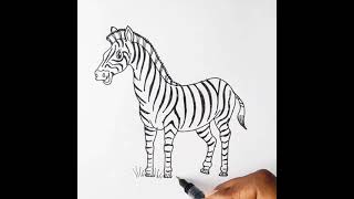 Easy Zebra Drawing