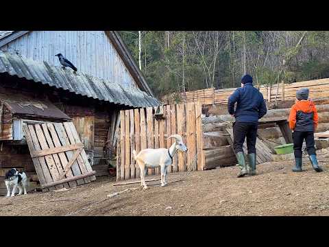 Winteranfang in den Karpaten und ein altes Rezept für selbstgemachte Butter