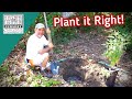 Plant it Right! - Part 1 - Digging the Hole