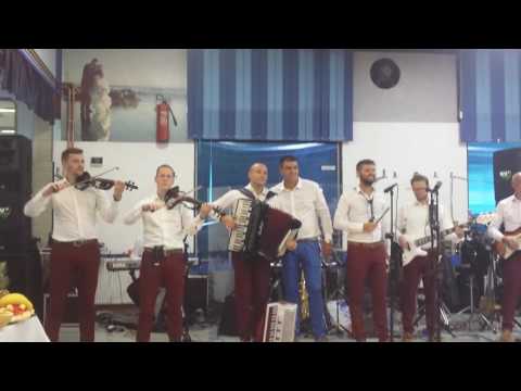 Aleksandar Sofronijevic - Aj berem groždje, biram tamjaniku (instrumental)