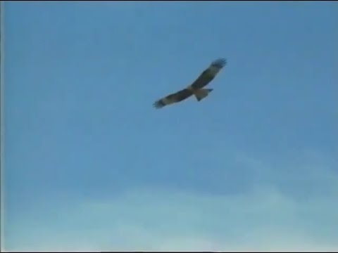 Viaggio in Mongolia - documentario