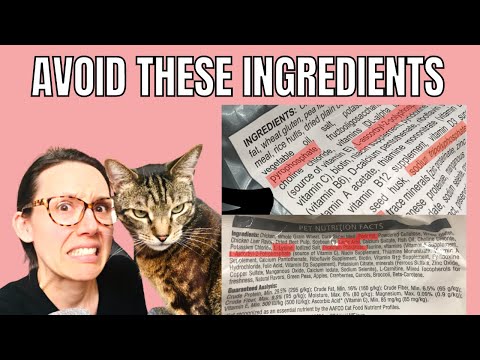 YouTube video about: What ingredients should I not include in my cats' food?