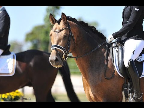 Dance de Luxe IMG 5850